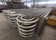 TIG Welded Stainless Steel Condensing-Kessel-Ekonomiser-natürliche Zirkulation
