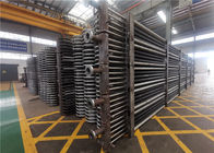 TIG Welded Stainless Steel Condensing-Kessel-Ekonomiser-natürliche Zirkulation
